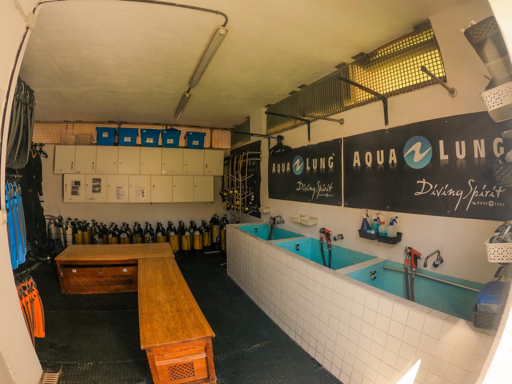Dive Center For Sale - Boutique diving school in the most promissing area of Tenerife